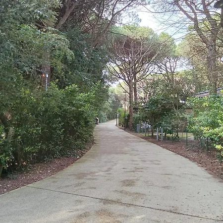 Stella Marina Eraclea Mare