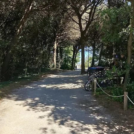Stella Marina