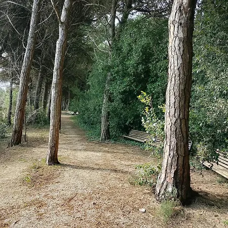 Stella Marina * Eraclea Mare