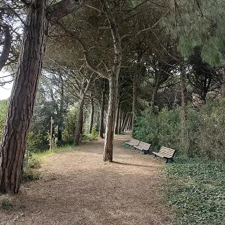 Stella Marina דירה *